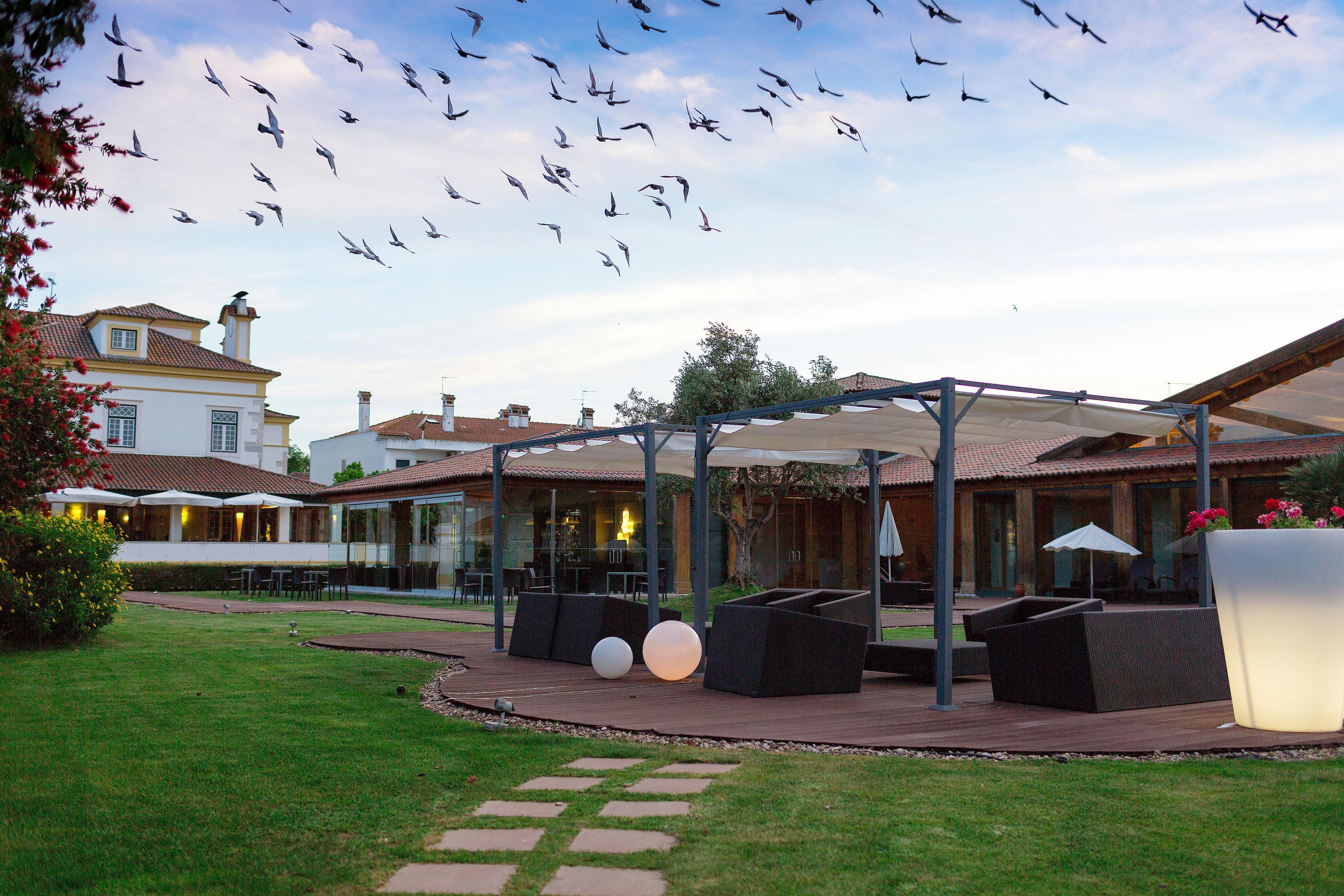 Hotel Lusitano Ґолеґан Екстер'єр фото